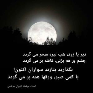نه از شیر و پلنگ، از اینهمه روباه می‌ترسم🙋🏻‍♂️سهمتون نور🔮