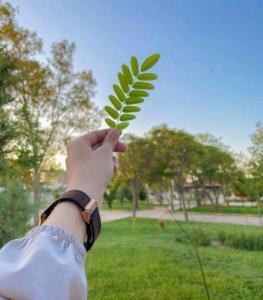 تا دیداری دوباره بدرود دوسیای گل 🖐🏻