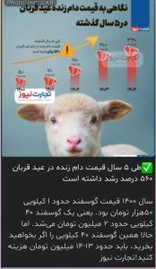 فقط تو پنج سال