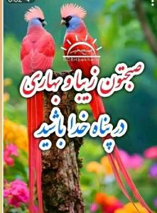 سلام خوبی صبح تا شاد باشی انشاالله همیشه سلامت باشی انشاالله