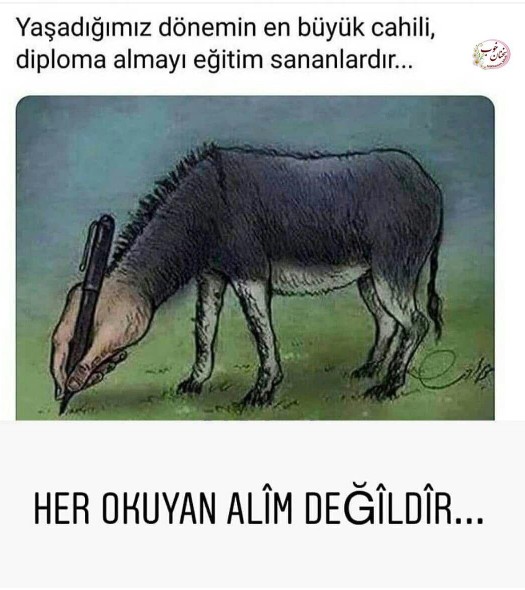 بزرگترین جاهلان عصر حاضر