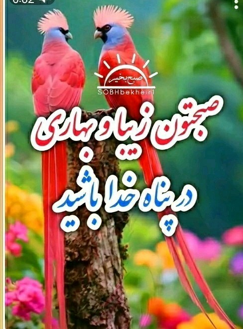 سلام خوبی صبح تا شاد باشی انشاالله همیشه سلامت باشی انشاالله