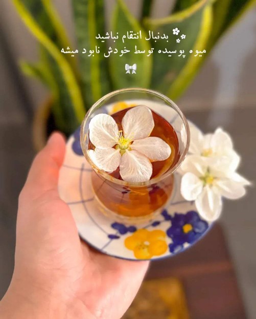 به دنبال انتقام نباشید....