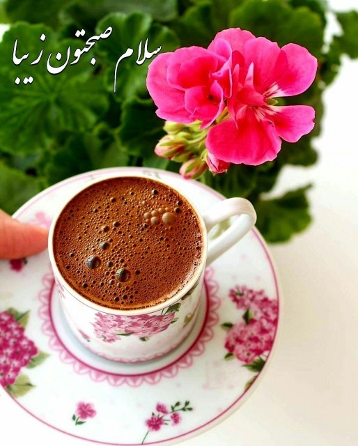 سلام صبح زیباتون بخیر 🌺