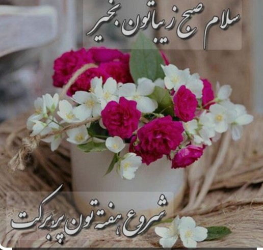 🌹🌹✋