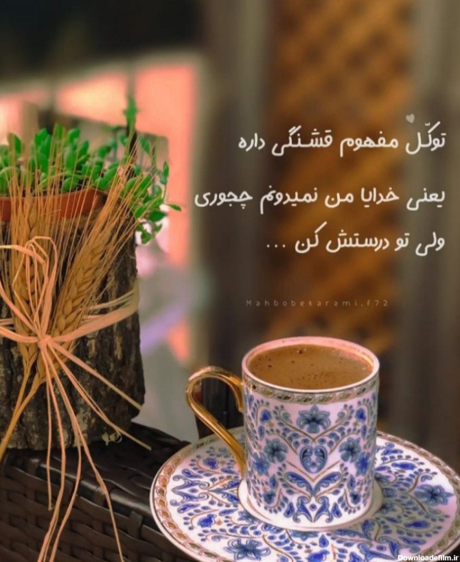 خدایا، من فقط میخوام، چجوریشو خوددانی ...