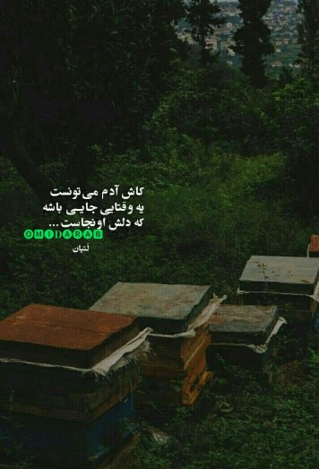 حرف دل از امیدعرب صبحتون بخیر 