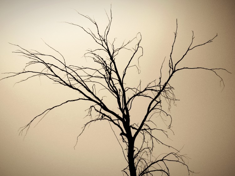 لحظه‌ای دلنگیز