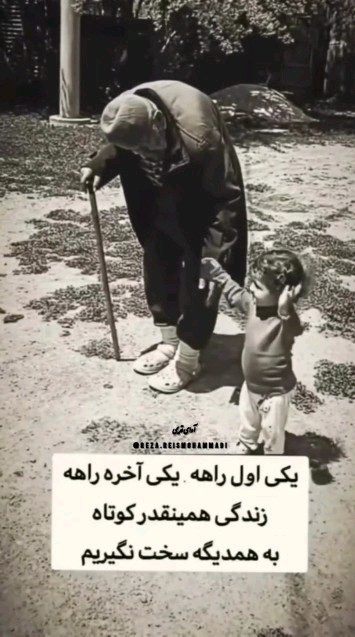 زندگی انسان