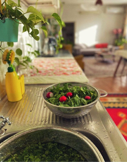 بعضی از عکسها بوی زندگی میده 
