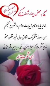الهی شکر تاابد 🤲🤲🌻🌻🌻🌻