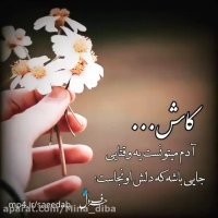کاش 👆👆