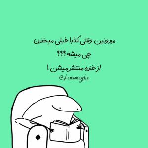 omid.6565