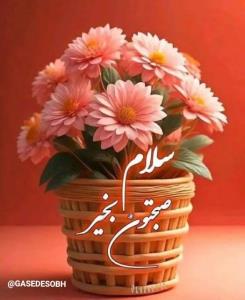 سلام صبح اول هفته تون بخیر 