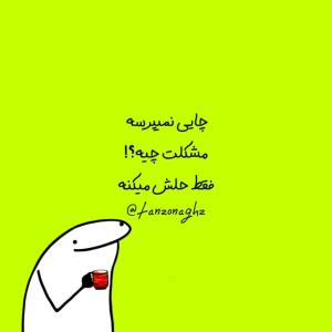 omid.6565