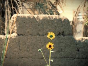 در نهایت روح های پاک همدیگر رو پیدا میکنن ... 