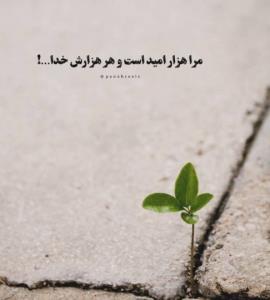 امید...