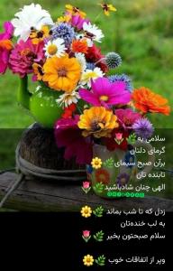 امیدعرب سلام صبحتون بخیر 
