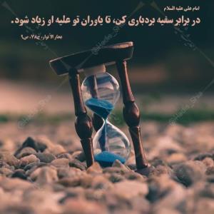 در برابر سفیه