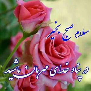 سلام صبح زیباتون بخیر ❤️❤️