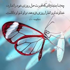 سوره عنکبوت آیه 60