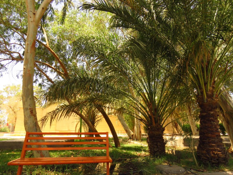 اینم صندیلو و جایی که خالیست