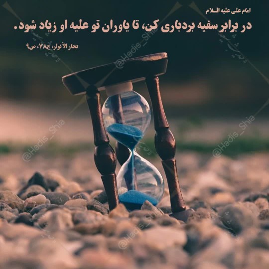 در برابر سفیه