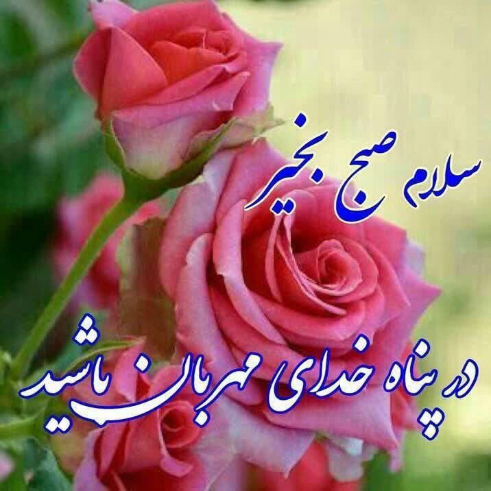 سلام صبح زیباتون بخیر ❤️❤️