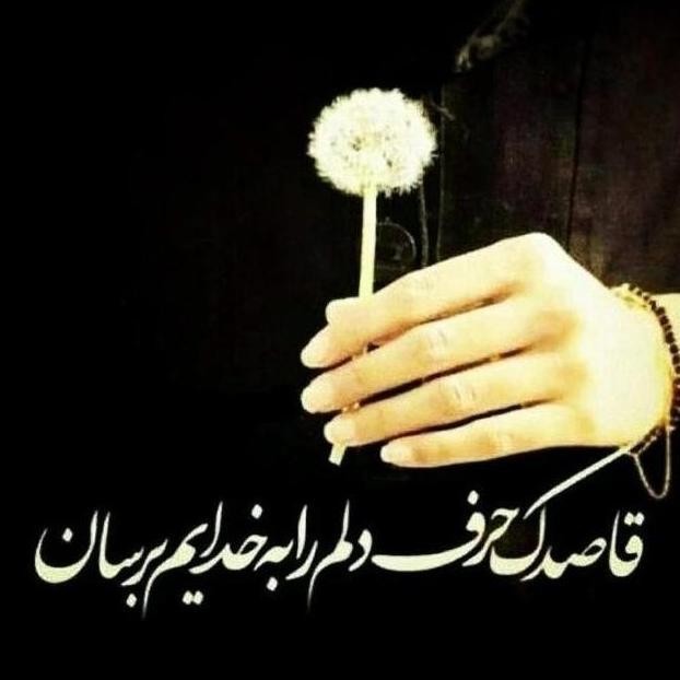 شب خوش خوشگلا 🌹