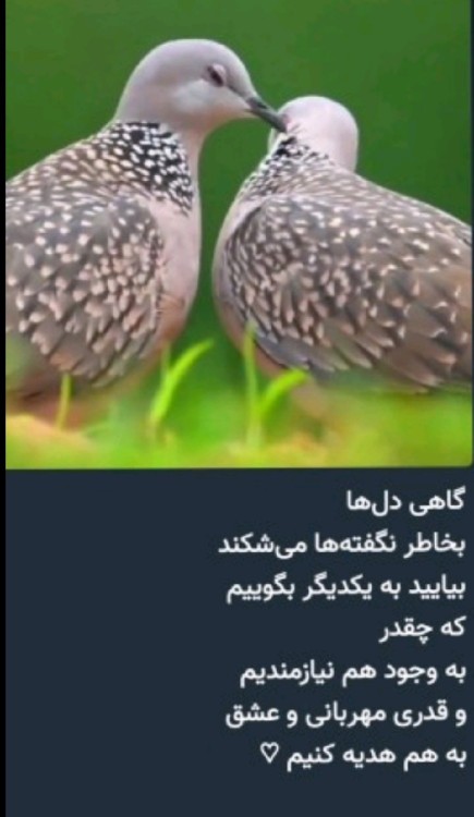 💔💔💔