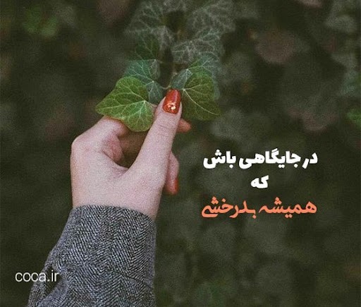 👆👆👆