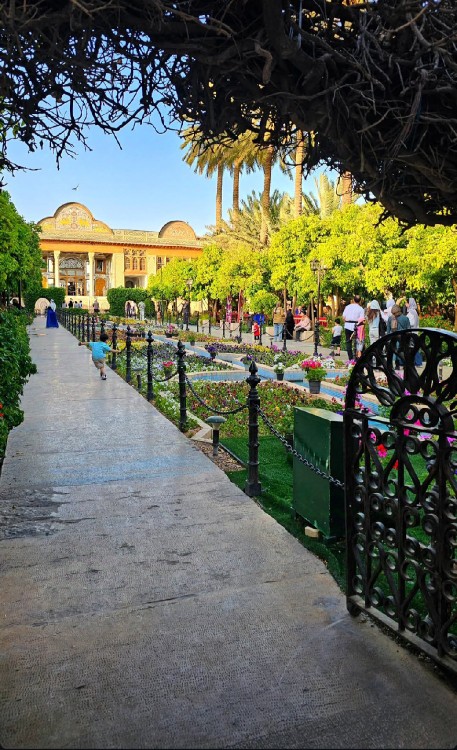 شیراز..