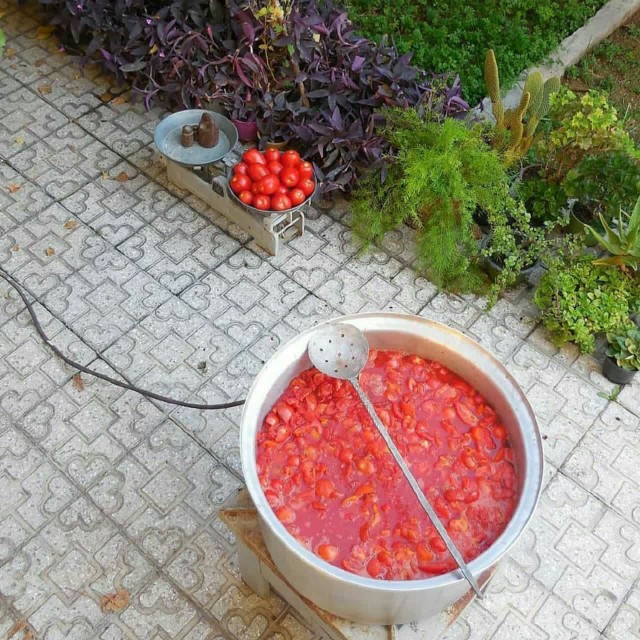 ظهرت بخیررفیق🌱