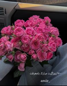 مبارکت🌼