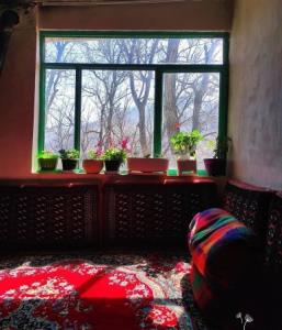 الهی برقصاندخدابه سازتوجهانت رارفیق🌱