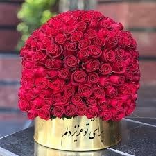سلام تقدیم به دوست عزیزم که خوب من درک میکنه 
