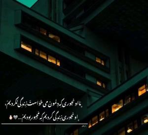 ما اونجوری که دلمون خواست زندگی نکردیم