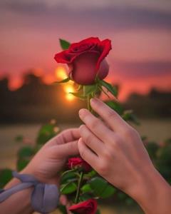 کپشن لطفاً 👇..شبتون بدونِ دلتنگی🦋✨✨✨✨🦋