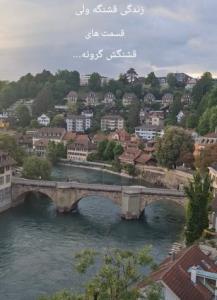 درود پلنگا شبتون خوش 🫡🌹