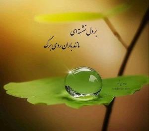 عصرتون بخیر🌺