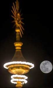 دل على دلبر على سرور على
ره علی رهبر على محشر على
