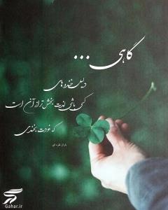 گاهی 👆👆👆