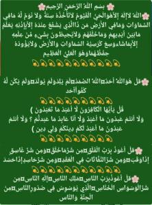 کپشن... یکی از اعمال قبل از خواب خواندن قرآن کریم 
