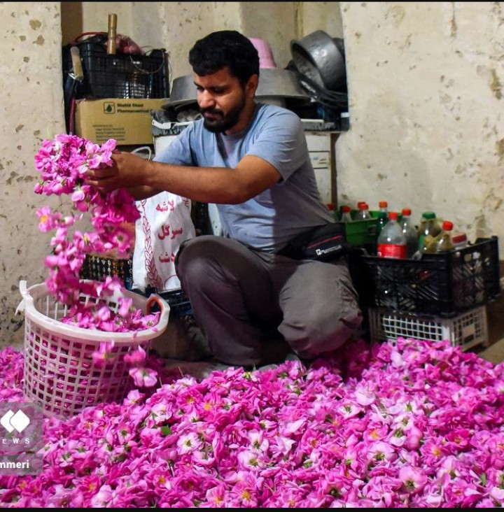 خراسان.شمالی