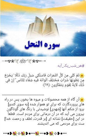 هر شب یک آیه 🌼
