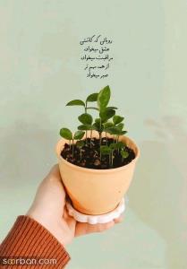صبر
