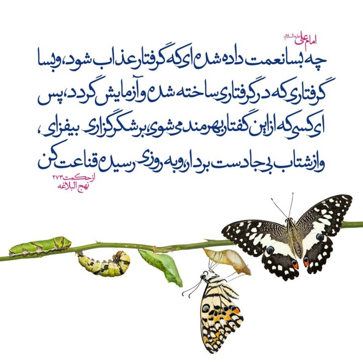 حدیث امروز 