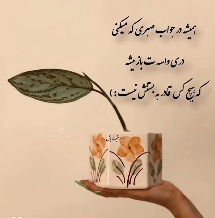 🌹🌹🌹🌹