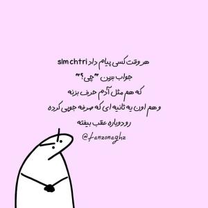omid.6565