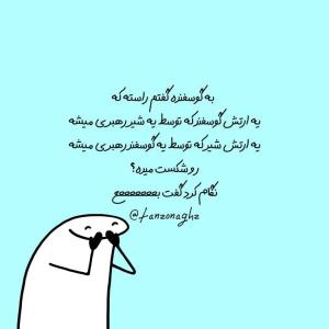 omid.6565